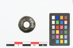 Foto von Bronzeringperle (NHMW-PRAE-025198)
